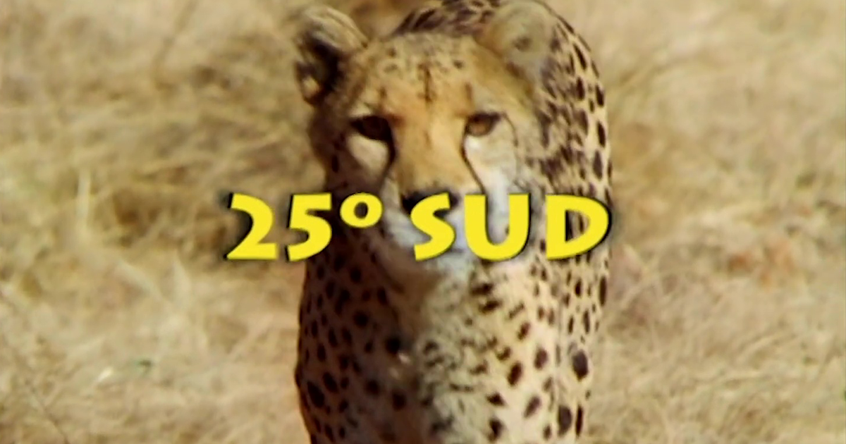 « 25° Sud » : la série culte fait son grand retour sur YouTube grâce à ICONTV séries